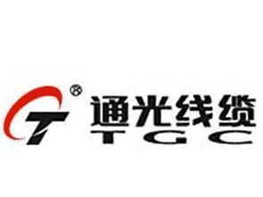 通光線纜子公司2220萬(wàn)元布局印度 合資公司設(shè)立的商機(jī)與投資指南
